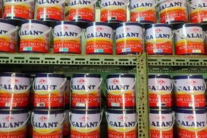 Đại Lý Sơn Galant