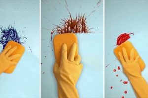 Các Loại Sơn Nước Lau Chùi Được