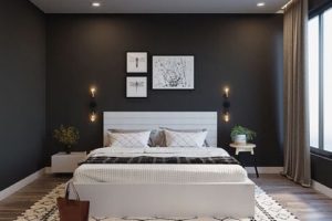 Sơn Nước Màu Đen