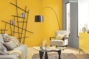 Sơn Nước Màu Vàng Trang Trí Nhà