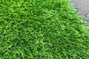 Thảm Cỏ Nhân Tạo 2cm