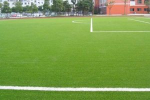 Quy Trình Thi Công Sân Cỏ Tự Nhiên