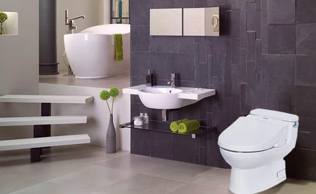xác định tốt và lựa chọn cái loại thiết bị vệ sinh phù hợp