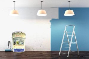 Đại Lý Sơn Hoa Việt Chính Hãng