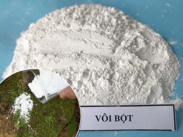Dùng vôi bột loại bỏ rêu trên sàn bê tông