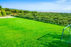 Dịch Vụ Thi Công Sân Cỏ Nhân Tạo Chuyên Nghiệp Tại Bà Rịa – Vũng Tàu