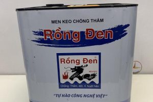 Chống thấm rồng đen là gì? Đặc điểm, ứng dụng và lưu ý khi sơn