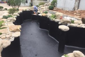 TOP 5+ loại sơn chống thấm hồ cá hiệu quả nhất