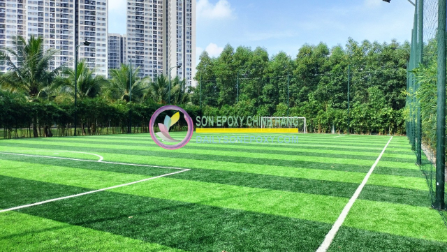 Dịch vụ thi công sân cỏ nhân tạo chuyên nghiệp tại Bình Dương