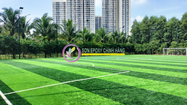Tìm hiểu về sân cỏ nhân tạo tại Tiền Giang
