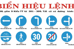 Biển báo hiệu lệnh: Nhận biết & áp dụng đúng chuẩn giao thông