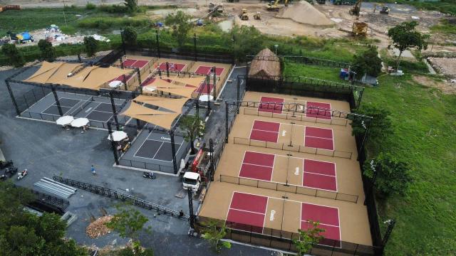 ប្រភេទតុលាលី Pickleball ទូទៅ