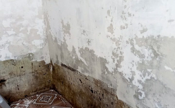Nguyên nhân phổ biến khiến tường bị thấm, rêu mốc, bong tróc sơn