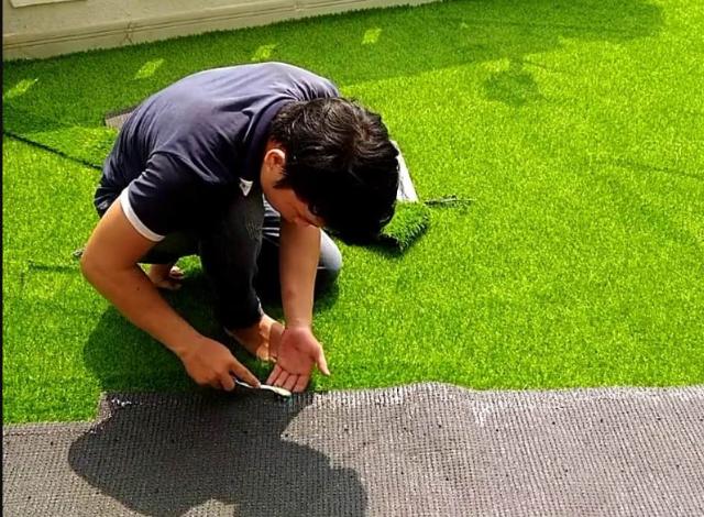 Trải và chỉnh cỏ